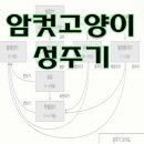 JM메디칼 이미지