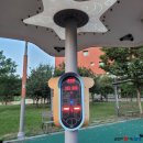 고래들공원 이미지