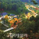 다모아레포츠