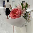 안양 | 안양 웨딩홀 [더파티움 안양] 당일계약 후기