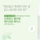 네이처민트 이미지