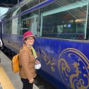 해랑나랑 | 47년생 할머니랑 해랑열차 내돈내산 후기 - 챕터1