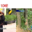 아이러브안경원 이미지