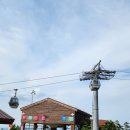 1340 | 강원도 정선 가볼만한곳 하이원 운탄고도 케이블카 스카이1340 곤돌라