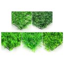 지앤와이 이미지