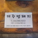 제주방목흑도야지 | 세종 조치원 맛집 제주 근고기 제주명돼지 후기