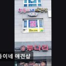 흰둥이네 애견샵 네이버블로그