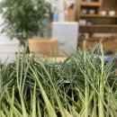 산청도서관 이미지