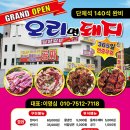 오리면 돼지 이미지