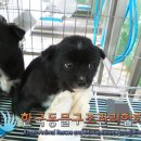 대곶남로 이미지