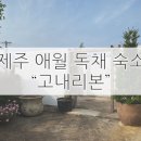 고내리본 이미지