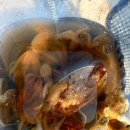 영목수산좌대 이미지