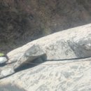 비둘기길 이미지