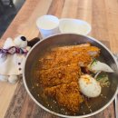 텐프로 | 고양이와 배탈로 시작하는 규의 2월