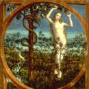 [교회 안 상징 읽기] 천당 나무 그리고 크리스마스트리 이미지