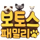 패밀리캣 이미지