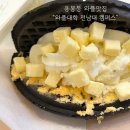와플대학전남대캠퍼스