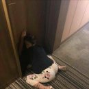 비몽사몽 이미지