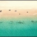 씨유 여주하동원룸점 | 이끼 인테리어 아이디어 자연을 담은 감성 공간 꾸미기