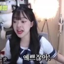 해피몽 | 해피 29th 생일