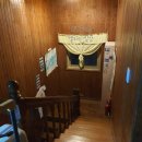 제주게스트하우스봄꽃 이미지