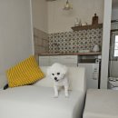 휴식공장 평창펜션 이미지