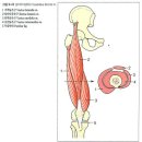 주말반 8기 세번째 레포트 제출 이미지