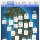 한국전관주 이미지