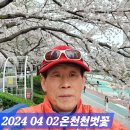 2024갑진년4월2일(화)요일 부산 연제 온천천의 봄. 이미지