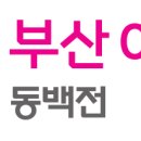 용호약국 이미지