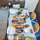 창녕 숙소 독채 온전히 즐겼던 오가하우스 힐링하고 왔어요