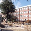 선진초등학교 이미지