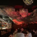 바제라늄(Bar Geranium) | [바제라늄] 청담 압구정 로데오 분위기 좋은 칵테일바