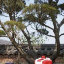 라움보자기 이미지
