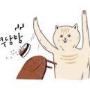 크로바관광여행사 이미지