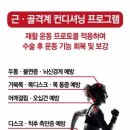 아이디얼핏 이미지