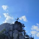The 산수유