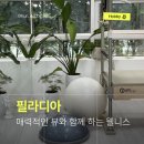 더필라테스206 | 석촌호수 뷰를 품은 송리단길 필라테스 필라디아 1:1 레슨 후기