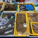 현정활어