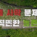 고령군공동급식소 | [시청후기] 2025년 6월 22일 KBS 《더 보다》 "식품사막에 삽니다."