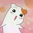 김고집 이미지