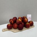 다온농원 이미지