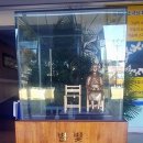 조선대학교여자고등학교 이미지