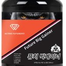 액티브퓨처핏