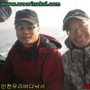 쭈순이 Daum카페
