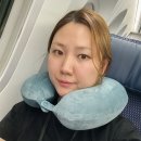 디테일라이프 | 기내용 여행용 목베개 추천 라이프잇 비행기 솔직후기