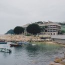 머레이크랩 이미지