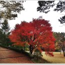 공주-01 이미지