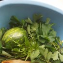 왕림농장 이미지