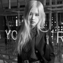 로제 - 영도구 장미계단길 234 | 로제